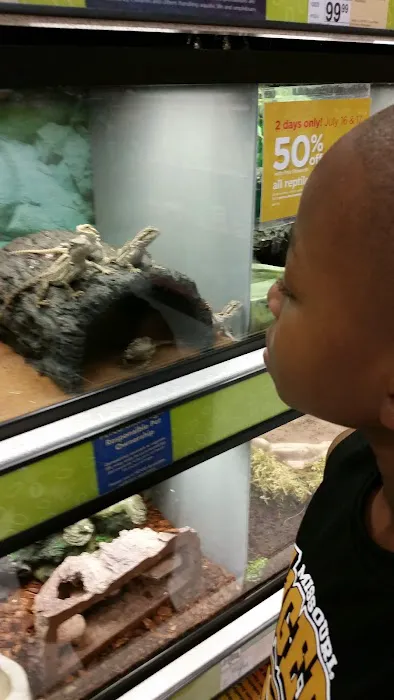 Petco Picture 2