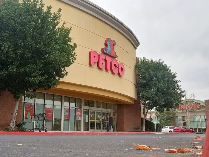 Petco Picture 6