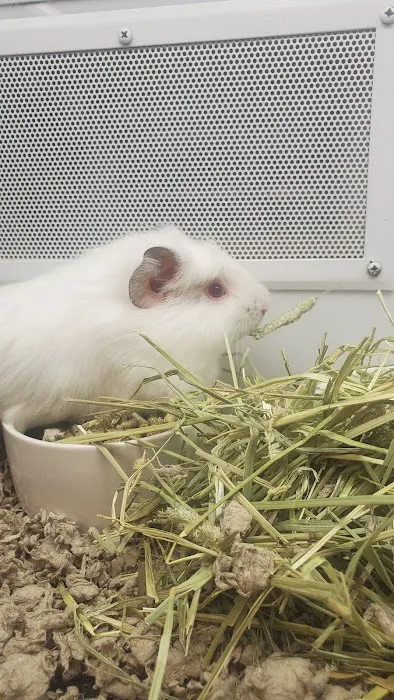 Petco Picture 7