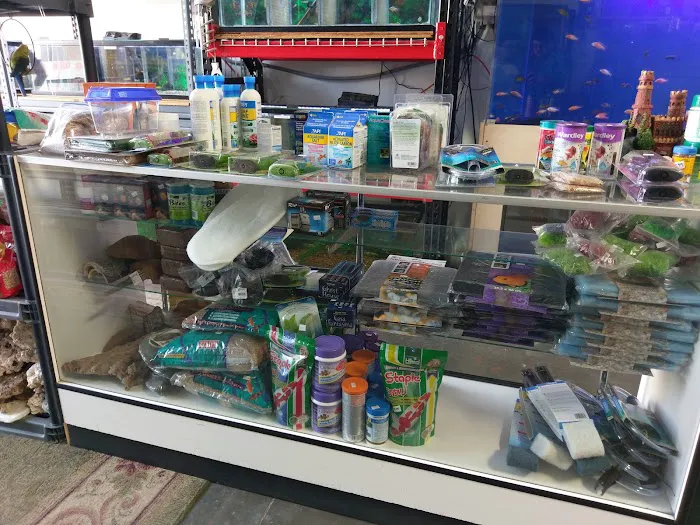 Tropical Fish and Feed Picture 1