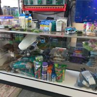 Tropical Fish and Feed ico