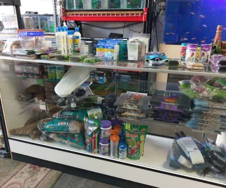 Tropical Fish and Feed