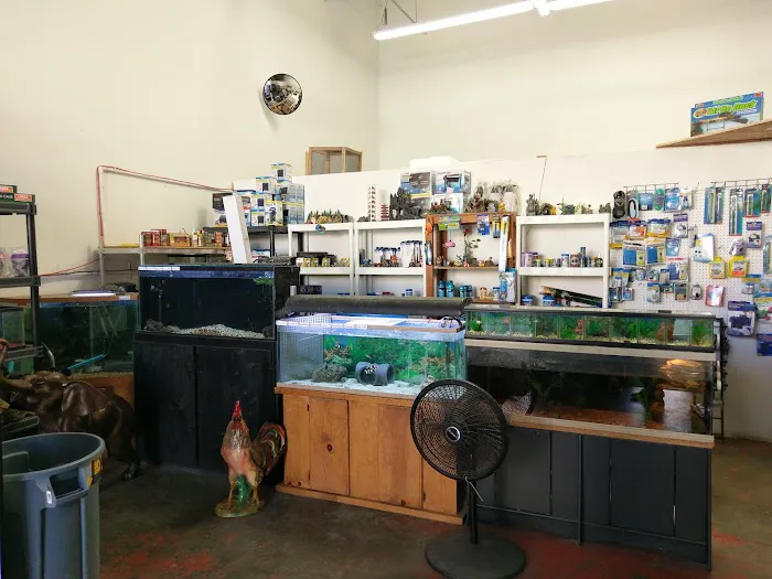 Tropical Fish and Feed Picture 9