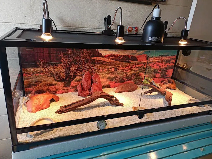 S &K Pet Shop Reptiles and Birds and supplies Picture 8