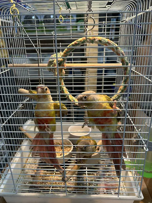 S &K Pet Shop Reptiles and Birds and supplies Picture 2