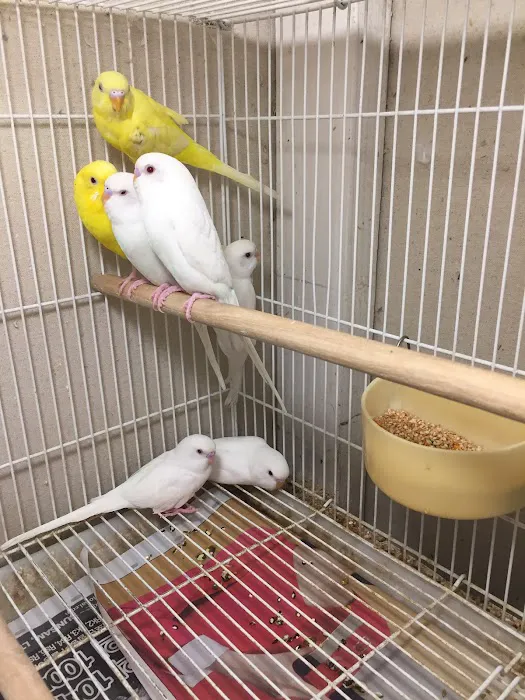 S &K Pet Shop Reptiles and Birds and supplies Picture 9