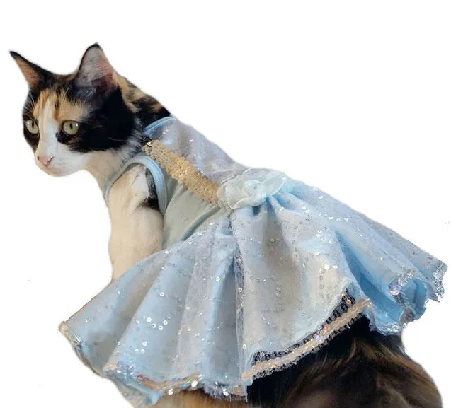 Love's Pets Picture 1