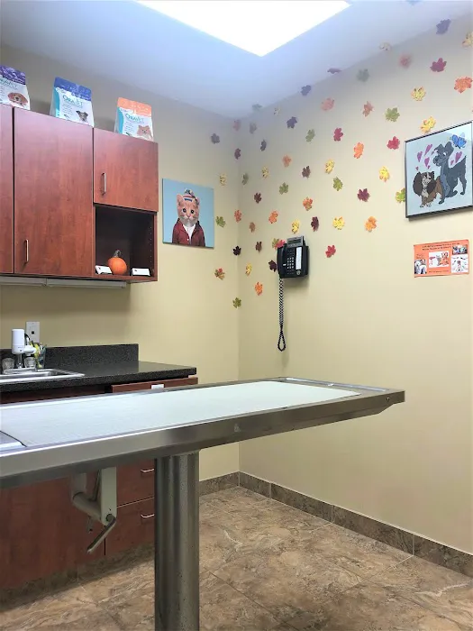 Greenwich Veterinary Center Picture 1