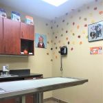 Greenwich Veterinary Center