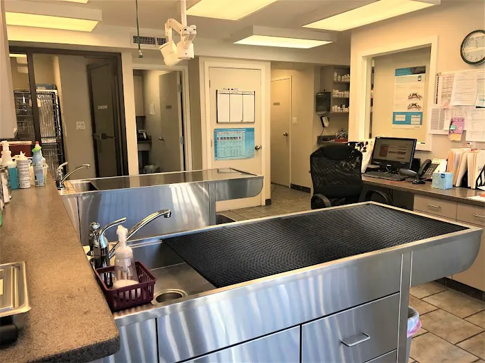Greenwich Veterinary Center Picture 2