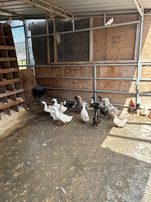 Yousef Karzoki Ranch Picture 6