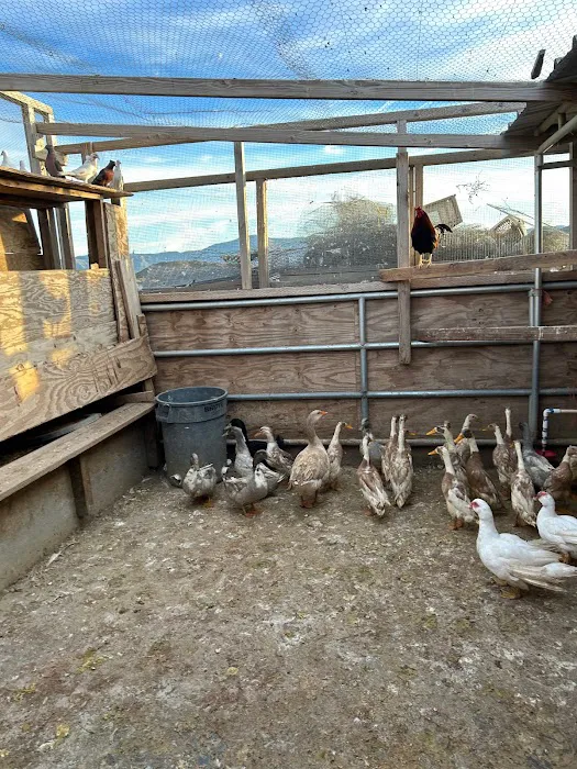 Yousef Karzoki Ranch Picture 1