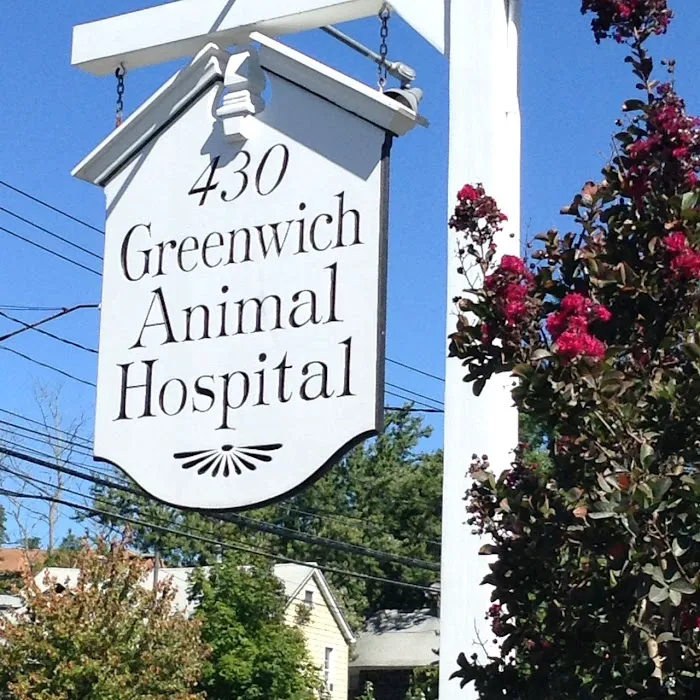 Greenwich Animal Hospital Picture 9
