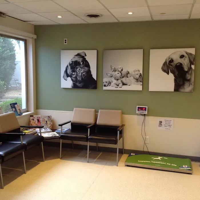 Greenwich Animal Hospital Picture 7