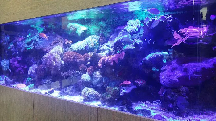 Aquatic Zoo Tropical Fish Picture 8