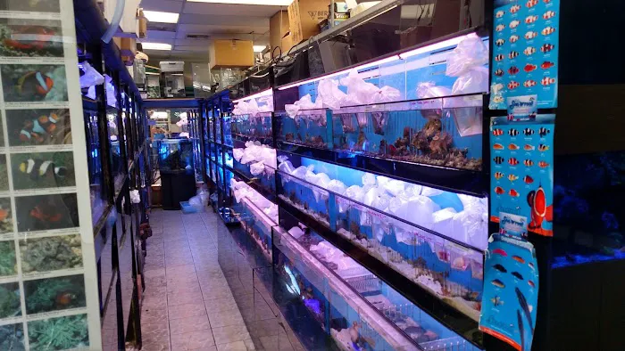 Aquatic Zoo Tropical Fish Picture 3