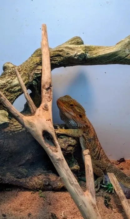 Aquatic Zoo Tropical Fish Picture 5