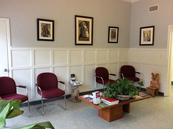 Blue Cross Animal Hospital Picture 2
