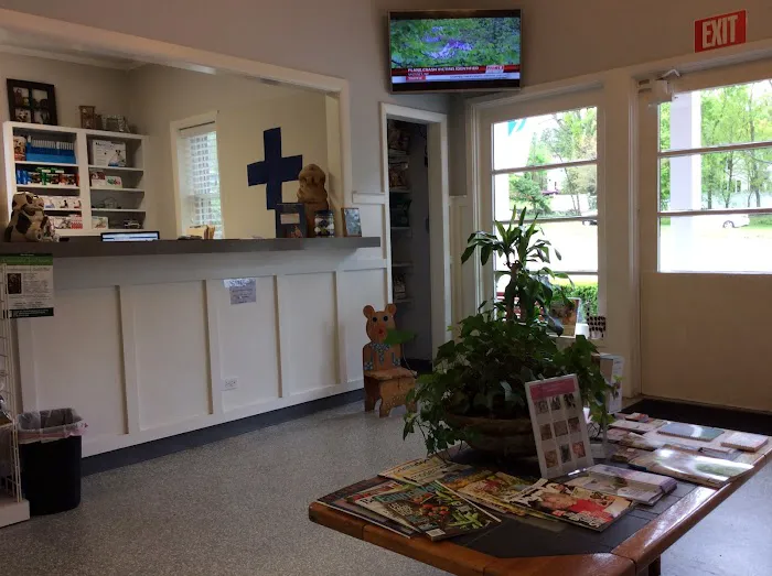 Blue Cross Animal Hospital Picture 7