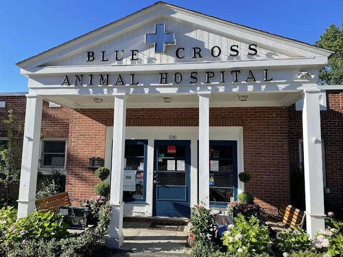 Blue Cross Animal Hospital Picture 5