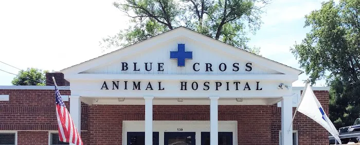 Blue Cross Animal Hospital Picture 1
