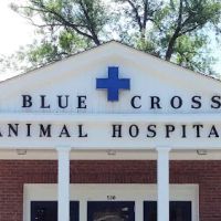 Blue Cross Animal Hospital ico