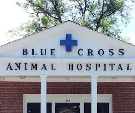 Blue Cross Animal Hospital
