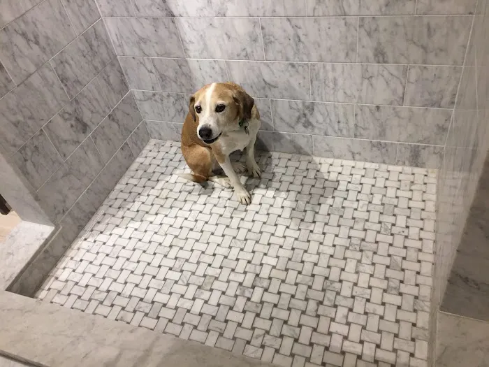 Port Chester Animal Hospital Picture 1