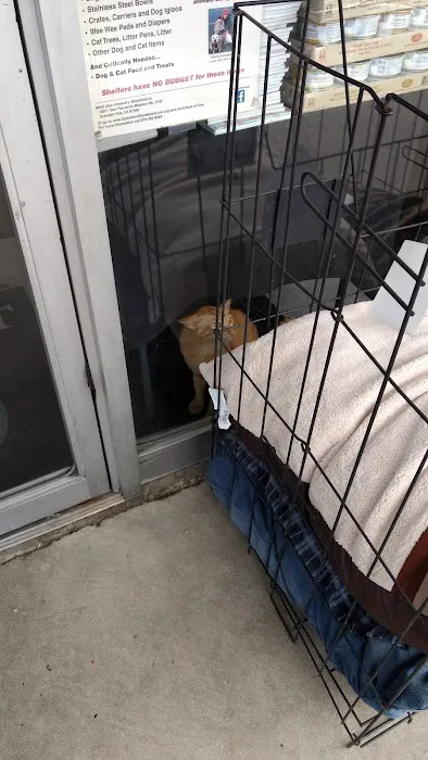 Healthy Pet Picture 4