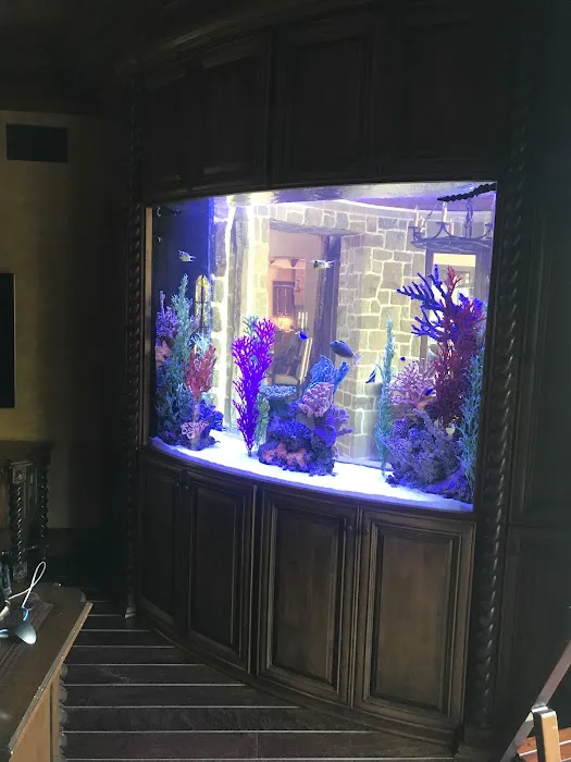 Aquatic Contractors Picture 8
