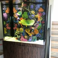 Aquatic Contractors ico