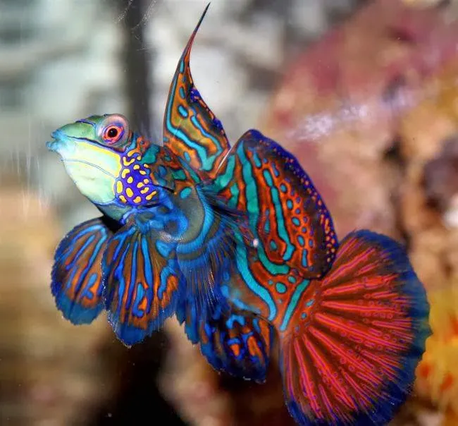 Aquatic Contractors Picture 4