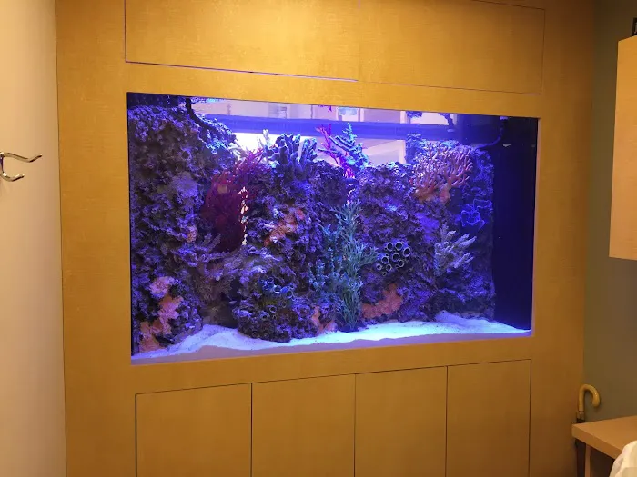 Aquatic Contractors Picture 3