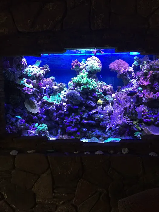 Aquatic Contractors Picture 7
