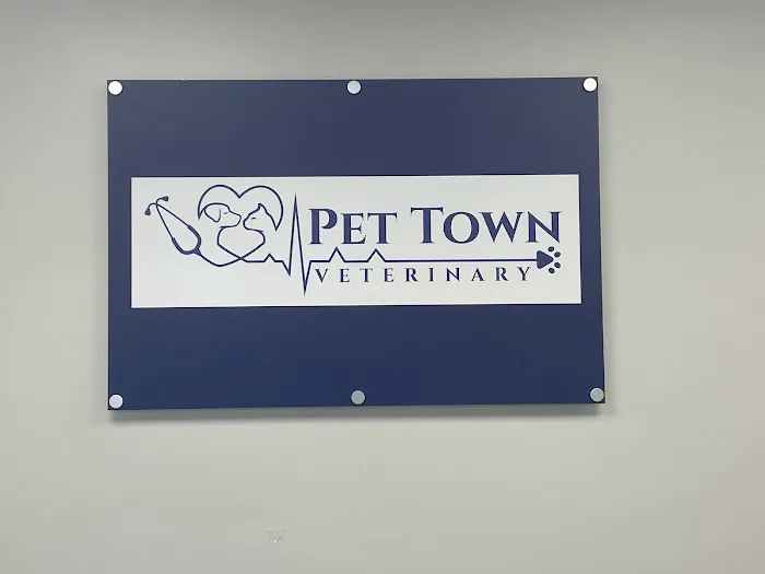 Pet Town Veterinary Picture 8