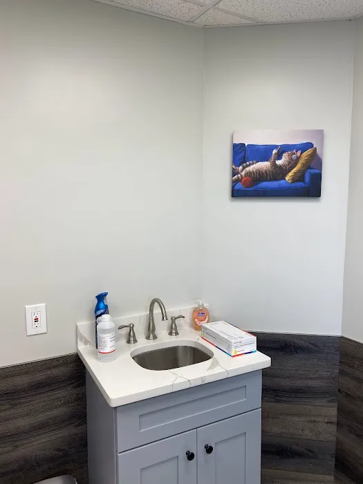 Pet Town Veterinary Picture 6