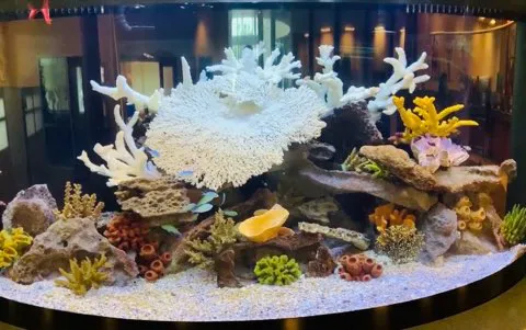Aquatech Aquarium Service Picture 7