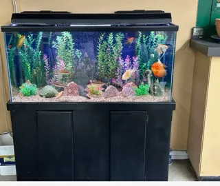 Aquatech Aquarium Service Picture 1