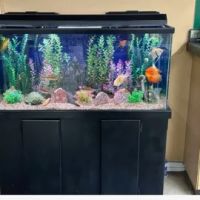 Aquatech Aquarium Service ico