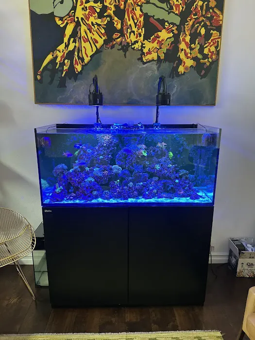 Aquatech Aquarium Service Picture 3