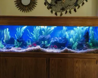 Aquatech Aquarium Service Picture 9