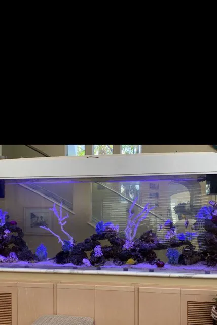 Aquatech Aquarium Service Picture 5