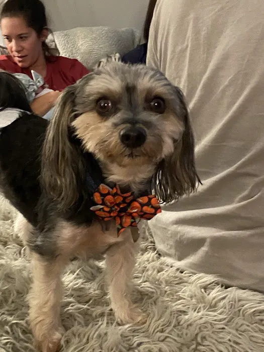 Dr. Robb's Protect The Pets Picture 8