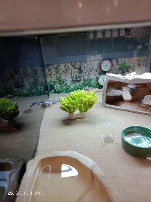 Petco Picture 3