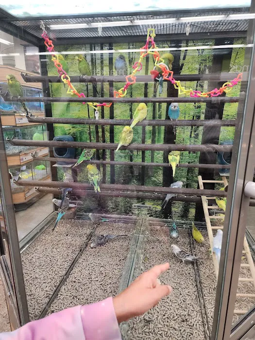 Petco Picture 6