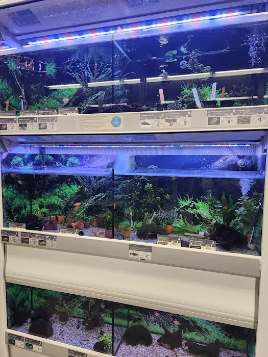 Petco Picture 8
