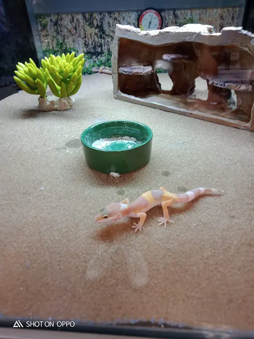 Petco Picture 5
