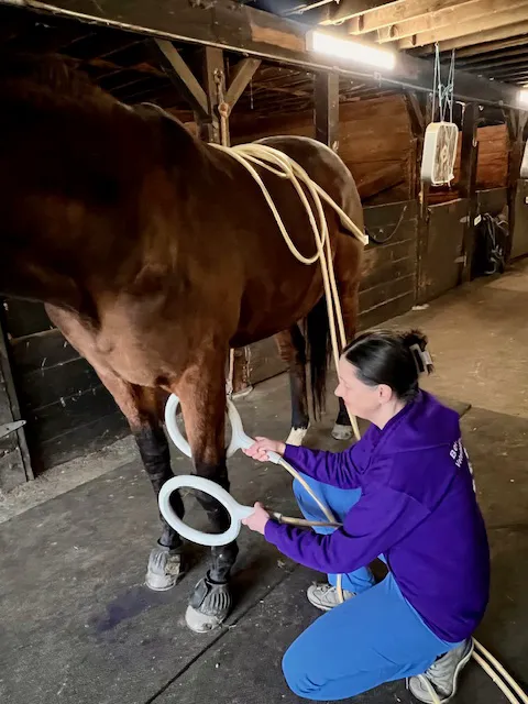 Berkshire Veterinary Hospital Picture 1