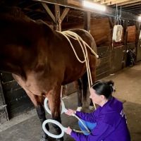 Berkshire Veterinary Hospital ico