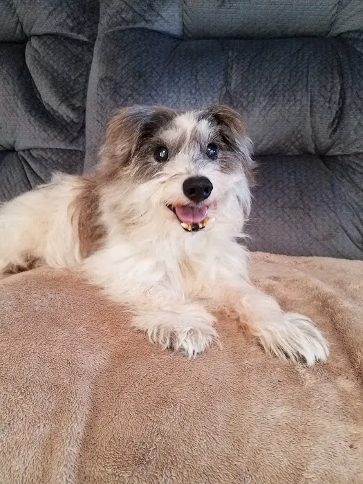 Shelter Hope Pet Shop Picture 2